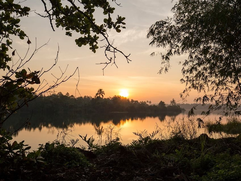 Coucher de soleil sur le lac de Bolgoda au Sri Lanka