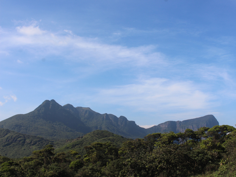 Massif des Knuckles au Sri Lanka, classé au patrimoine mondial de l’UNESCO
