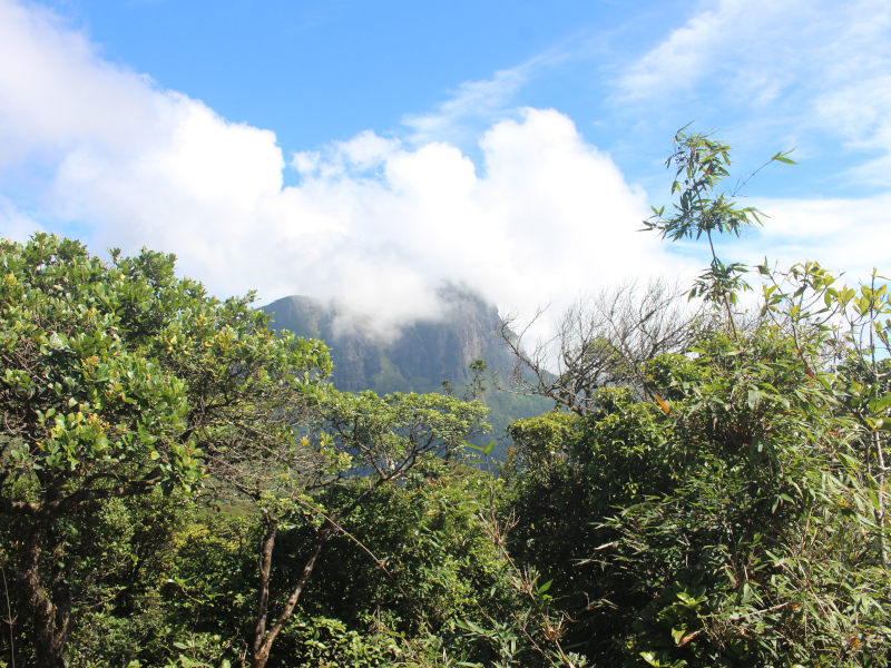 Massif des Knuckles au Sri Lanka, un espace naturel préservé